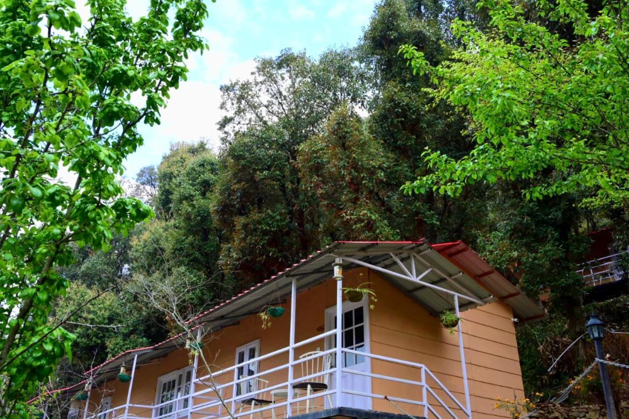 Aaroham Resort Shimla ! Luxury Cottage By Aamod Group Exterior photo
