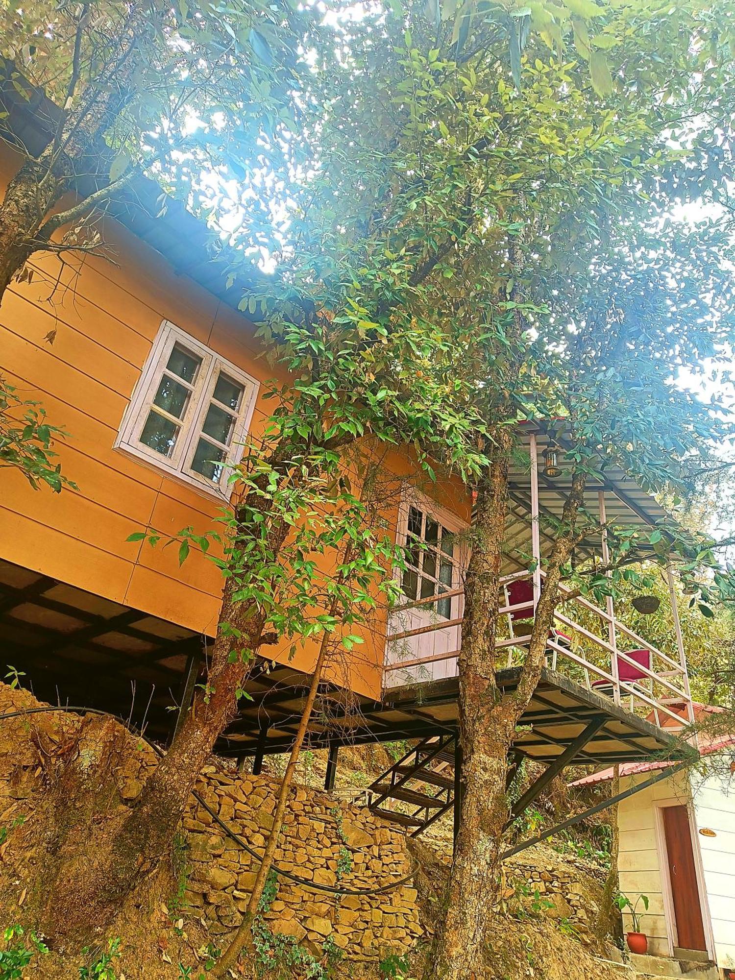 Aaroham Resort Shimla ! Luxury Cottage By Aamod Group Exterior photo